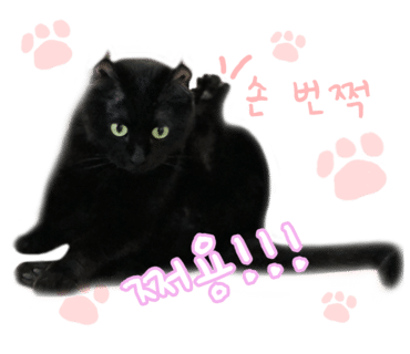 경기미당 시흥플랑드르점 이미지