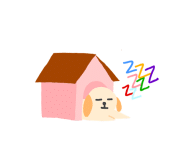 몽호텔 이미지