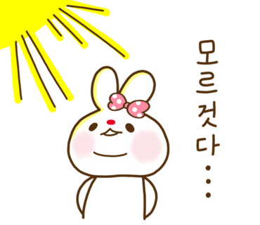 새벽설기 이미지