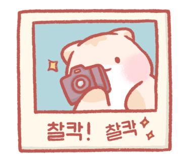 비비노아 이미지