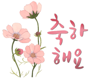 컴퓨레이터 이미지