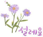 컴퓨레이터 이미지