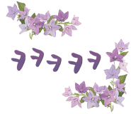 컴퓨레이터 이미지