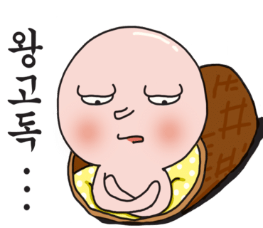 새소리게스트하우스 이미지