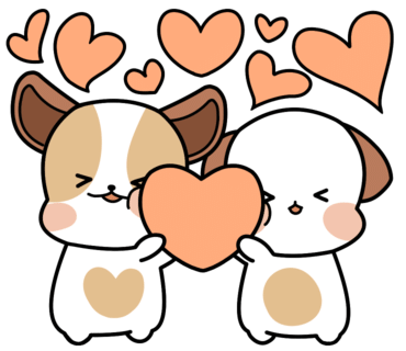신데렐라스튜디오 이미지