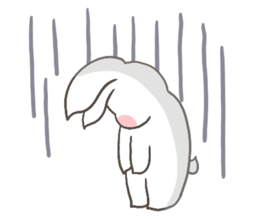 찬스헤어 이미지