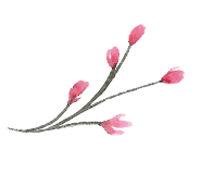 우솔인테리어 이미지