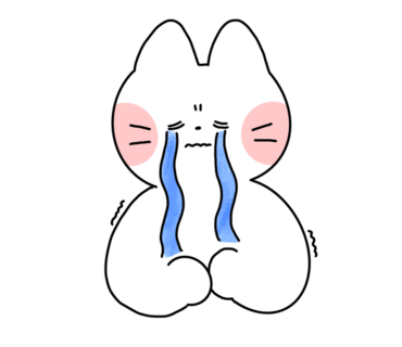 케이크체크 이미지