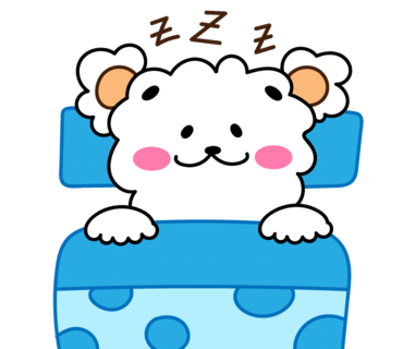 펫트리파크 이미지