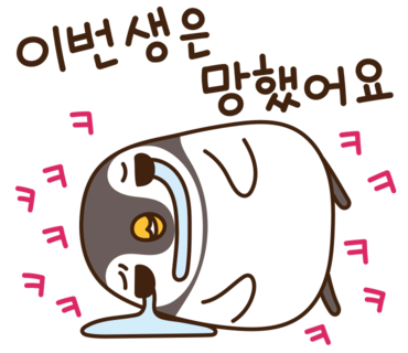 카페502 이미지