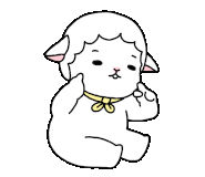 장보고수산센타 이미지