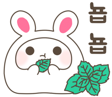 수경청과 이미지
