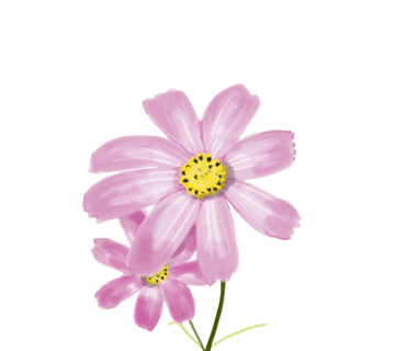 배기.st 이미지