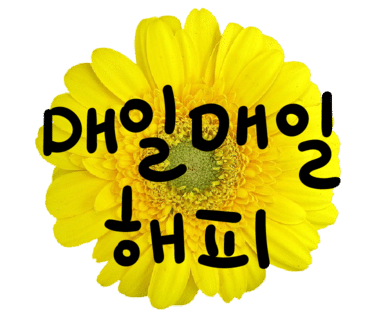 석로 사진 3