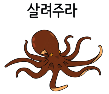 보리피리 대표 사진