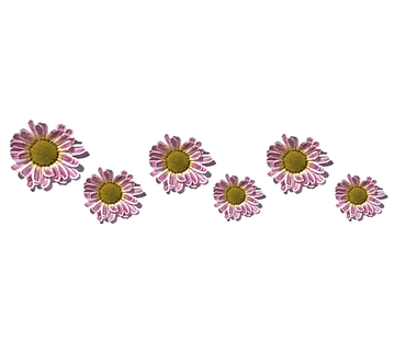 풍차펜션민박 이미지