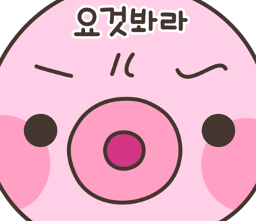 규니왕타코 이미지