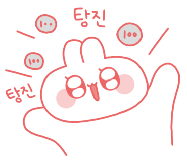 핑크슈슈 이미지