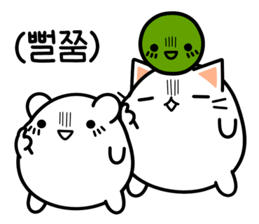 새벽회 이미지