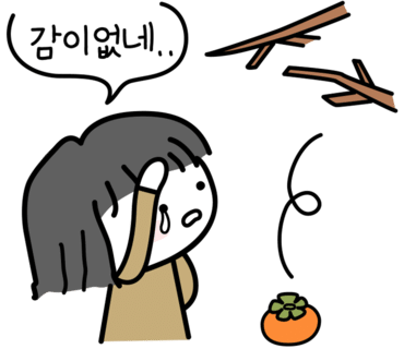 짱놀이터 이미지