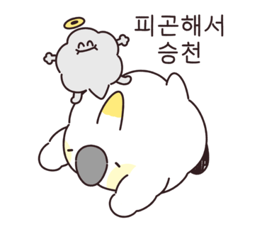페트리코 이미지