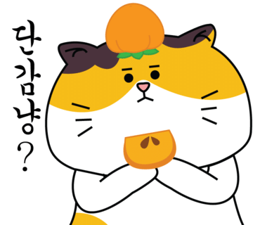 미스터씨 이미지