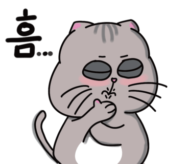 베리나이스 이미지