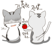 자향 이미지