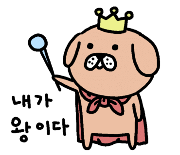 아이피주 이미지