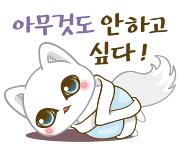 제주에산다면 이미지