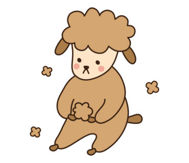 황제족발 이미지