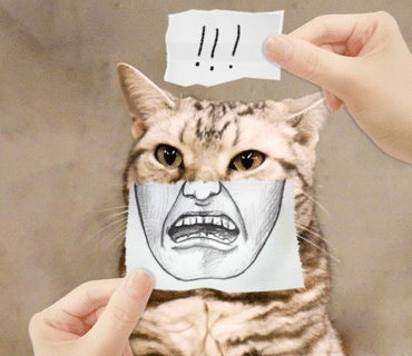 두리인테리어 이미지