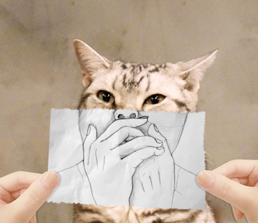이치요리 이미지