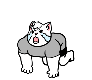 홍크짐 이미지