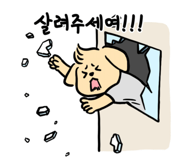 크로스핏레온 이미지