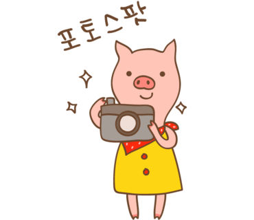 고석정꽃밭카페 이미지