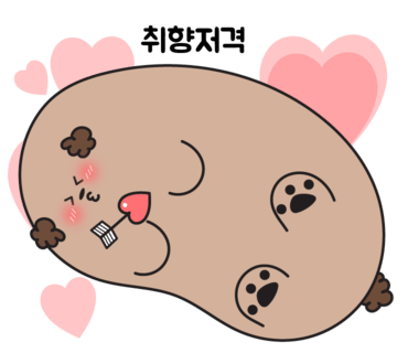 승채 이미지