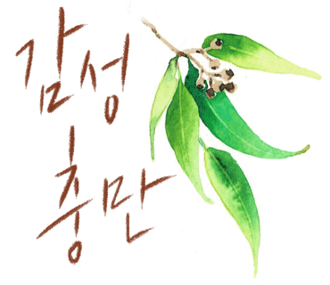 그림책심리성장연구소인천지부 이미지