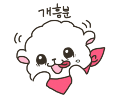 화로상회원당주교점 이미지