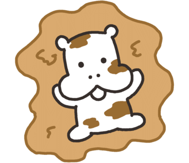 히포디테일링 이미지