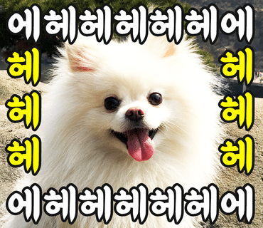 인 이미지
