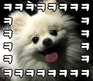 메종드마린 이미지