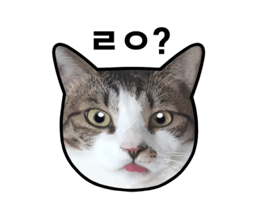 유유아로마 이미지