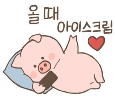 세계과자할인점 이미지