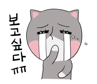 블루섬데이 이미지