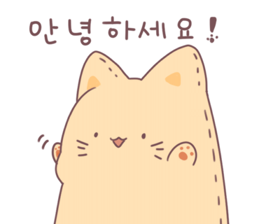 담다컴퍼니주 이미지