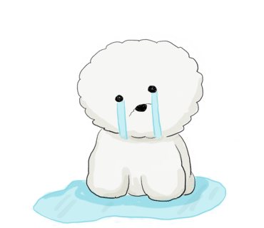 지니라이프 이미지