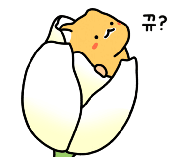 호치킨 구리등기소점 이미지