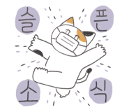 대경타일 이미지