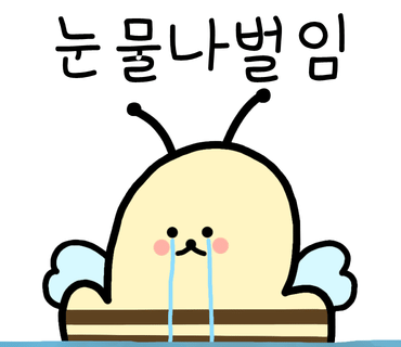 딥247 이미지